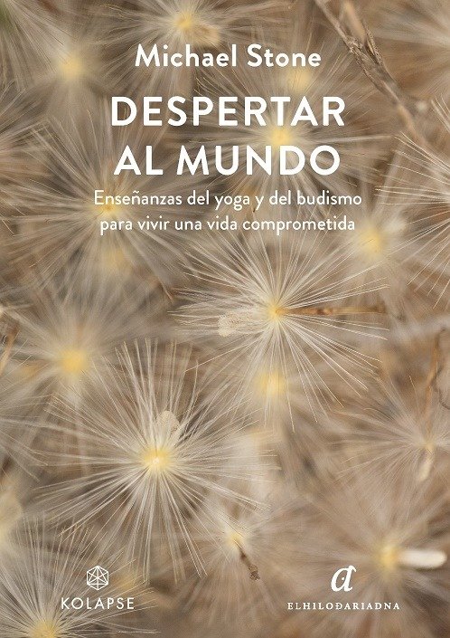 Despertar Al Mundo-Stone Michael