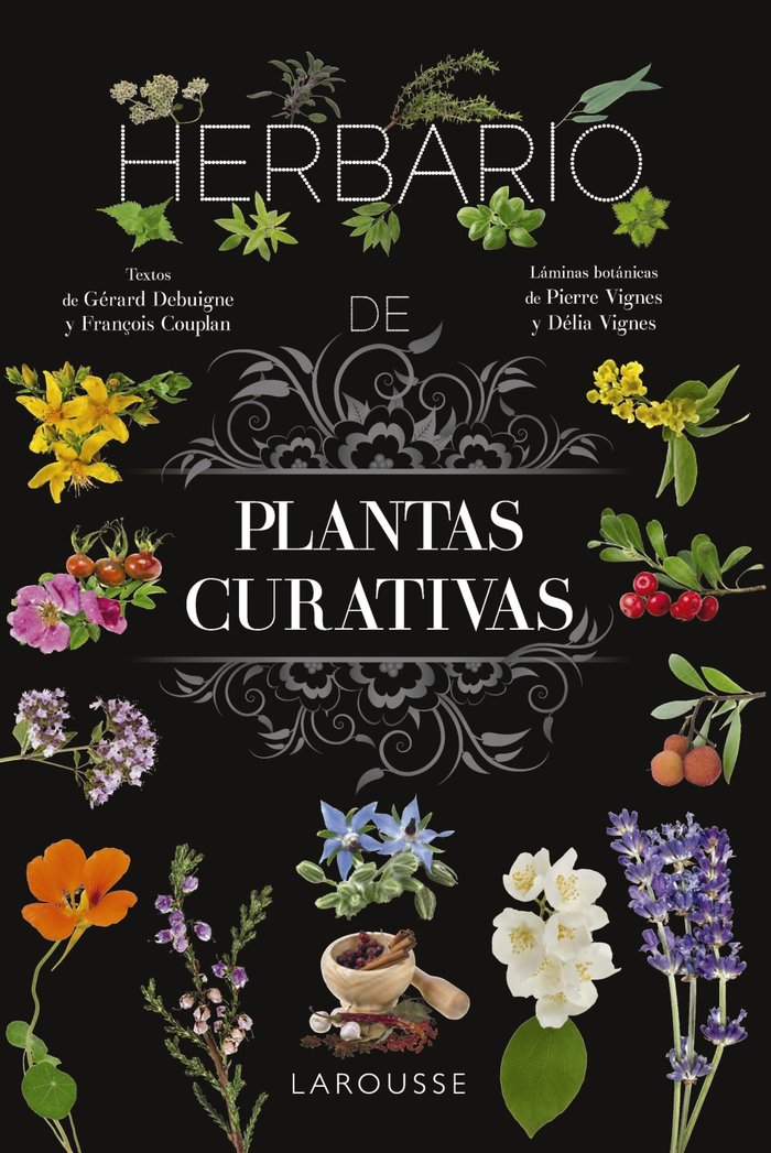 Herbario de Plantas Curativas-Vignes Pierre