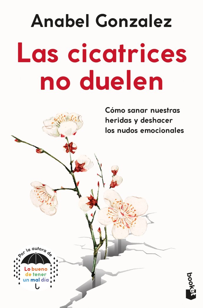 Las Cicatrices no Duelen-Anabel Gonzalez