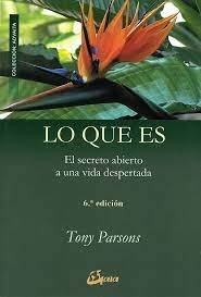 Lo Que Es-Parson Tony