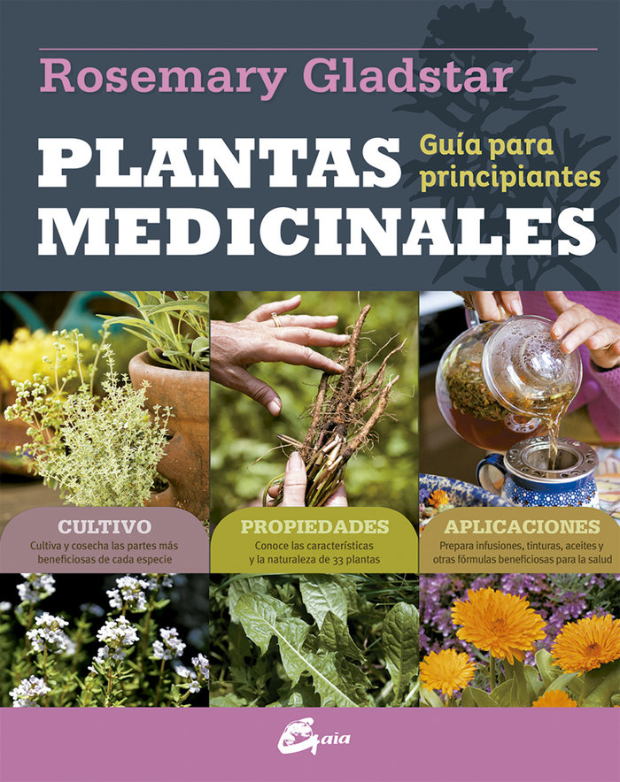 Plantas Medicinales-Gladstar Rosemary