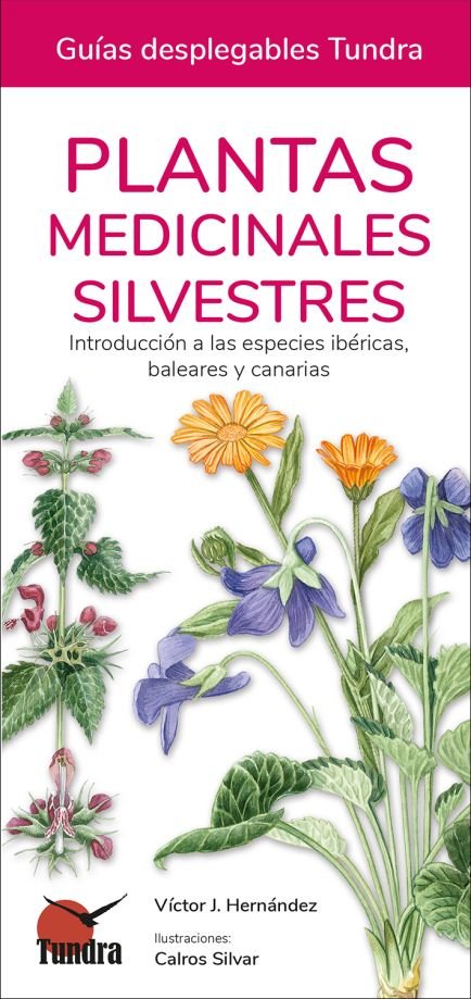 Plantas Medicinales Silvestres Guias Desplegables Tundra-Victor j Hernandez
