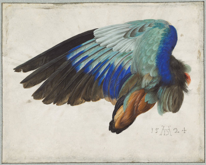 Reina Del Aire la-Ruskin John