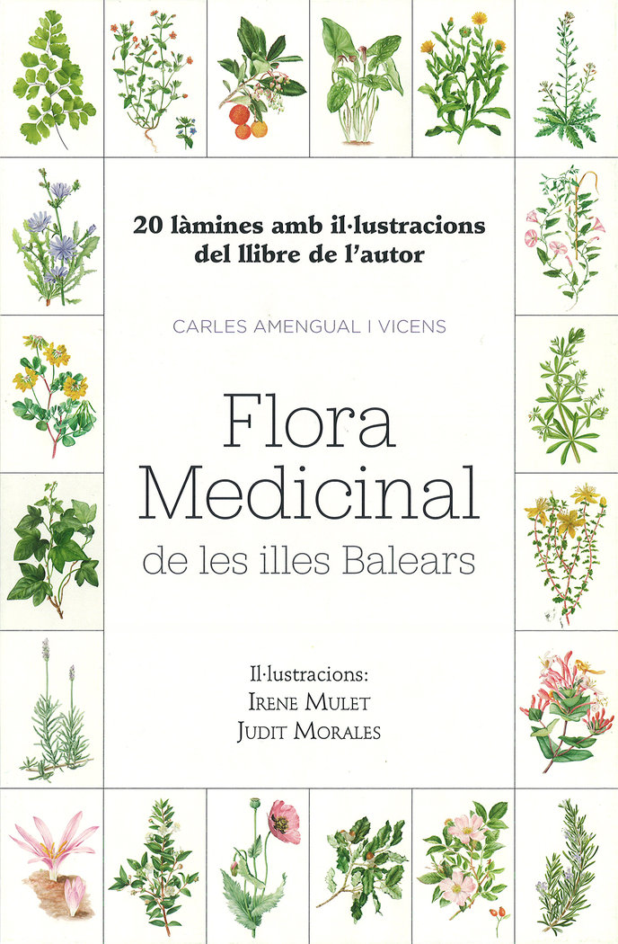 20 Lamines Amb Illustracions Del Llibre de L’autor-Mulet Domingo Irene
