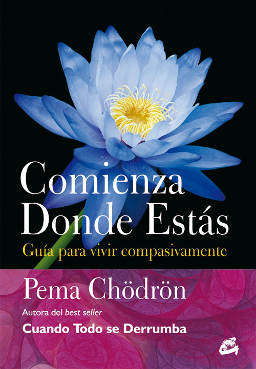 Comienza Donde Estas-Chodron Pema