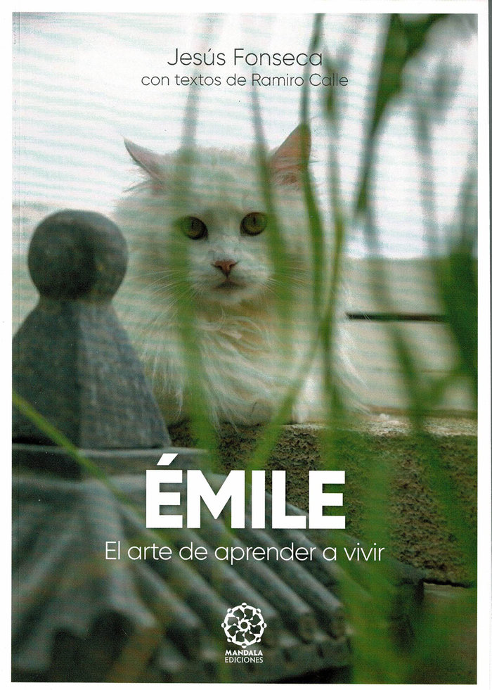 Emile el Arte de Aprender a Vivir-Calle Ramiro