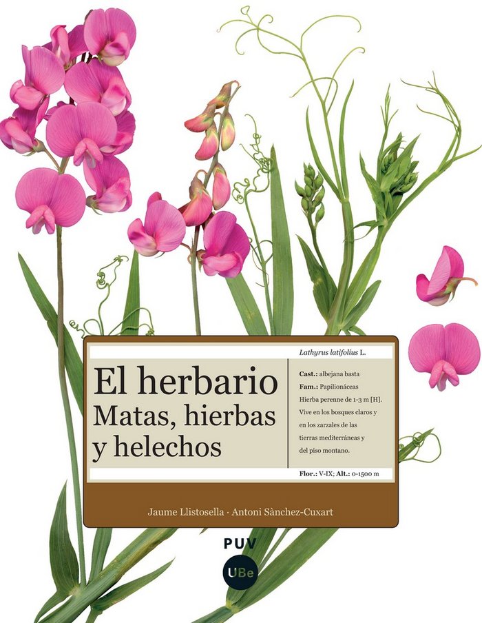 Herbario Matas Hierbas y Helechos el-Sànchez Cuxart Antoni