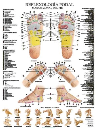 Laminas Reflexologia Podal Ne-Jimenez Hernandez Miguel