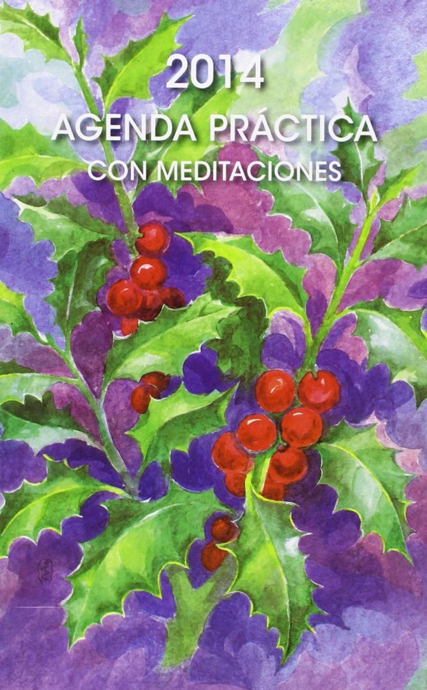 Practica con Meditaciones-Steiner Rudolf