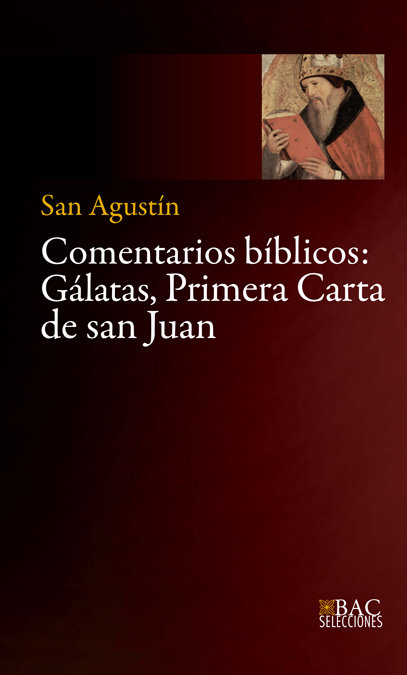 Comentarios Biblicos-Agustín de Hipona Santo