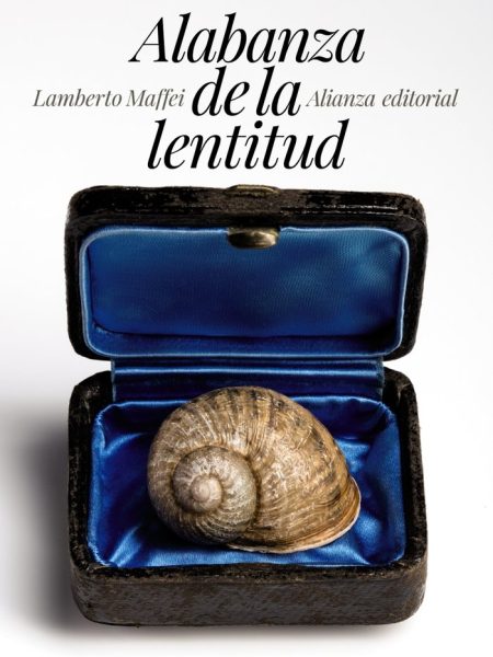 Alabanza de la Lentitud-Maffei Lamberto