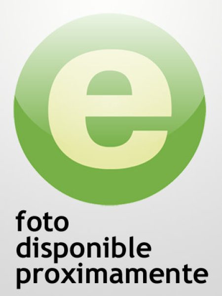 Coaching Personal con Pnl-Forner Rosetta