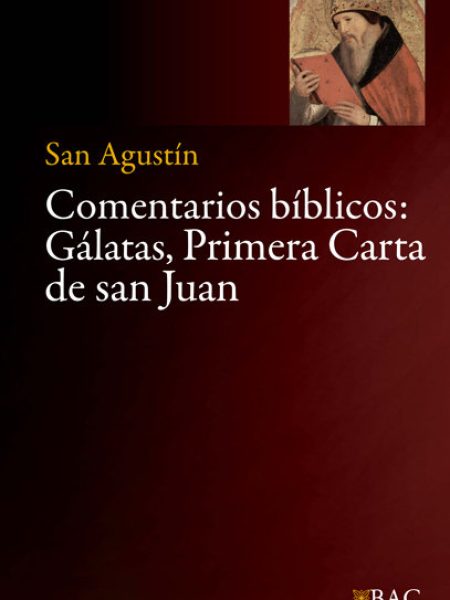 Comentarios Biblicos-Agustín de Hipona Santo
