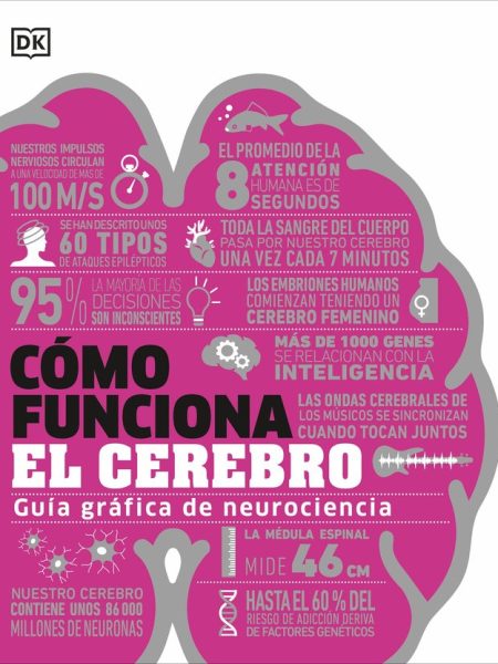 Como Funciona el Cerebro-Dk