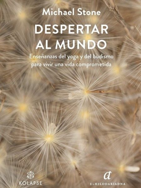 Despertar Al Mundo-Stone Michael
