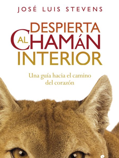 Despierta Al Chaman Interior-Stevens José Luis
