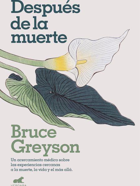 Despues de la Muerte-Greyson M. D. Bruce