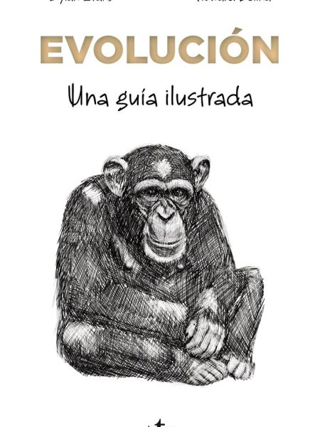 Evolucion-Evans Dylan