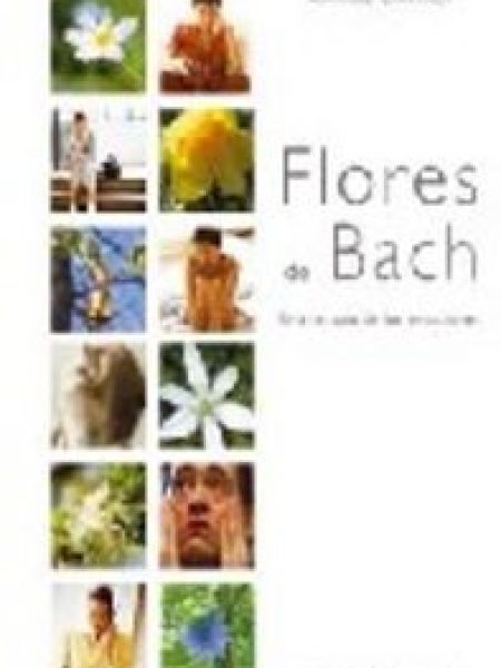 Flores de Bach (cartone)-Carranza Mendoza-lópez Armando