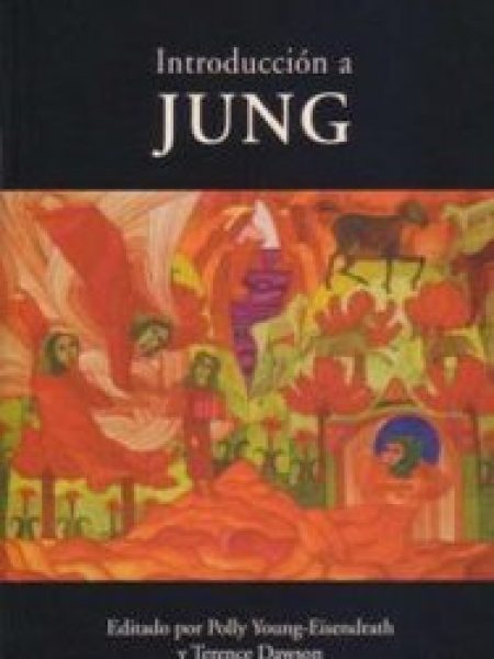 Introduccion a Jung-Dawson Terence