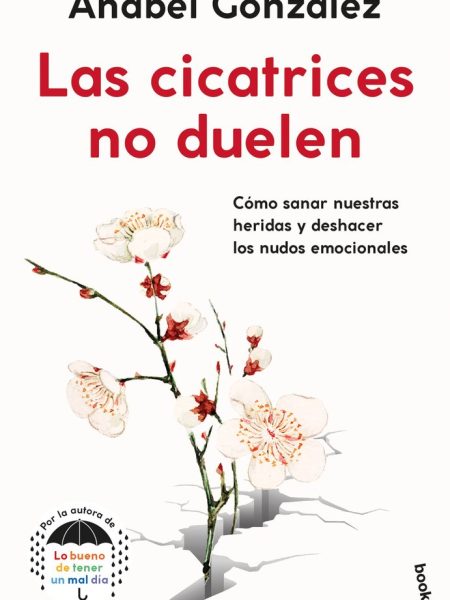 Las Cicatrices no Duelen-Anabel Gonzalez