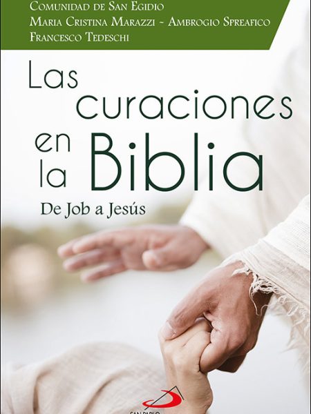 Las Curaciones En la Biblia-Marazzi Maria Cristina