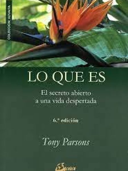 Lo Que Es-Parson Tony