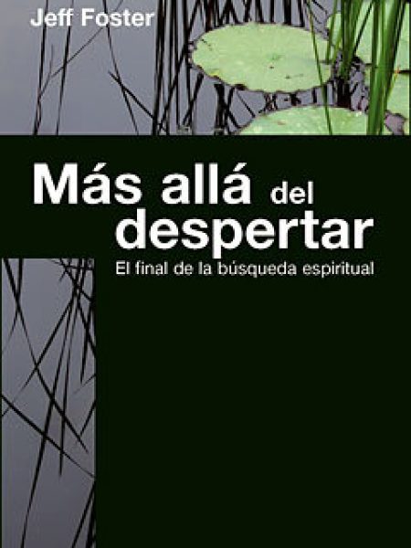 Mas Alla Del Despertar el Final de la Busqueda Espiritual-Foster Jeff