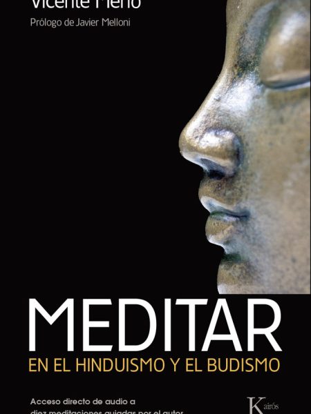 Meditar-Merlo Lillo Vicente