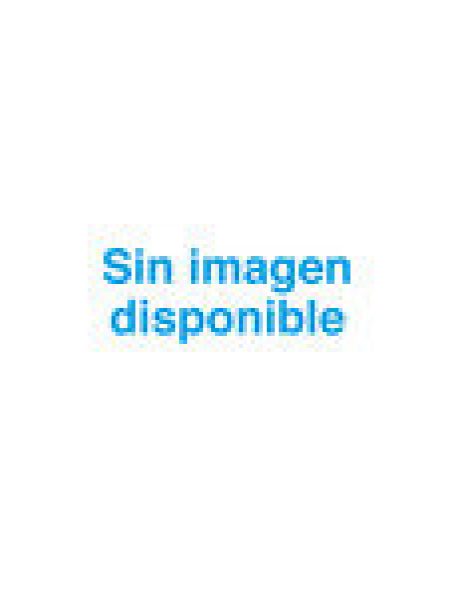 Neuropsicologia Del Desarrollo-Vvaa