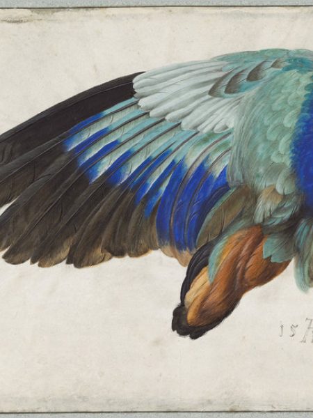 Reina Del Aire la-Ruskin John