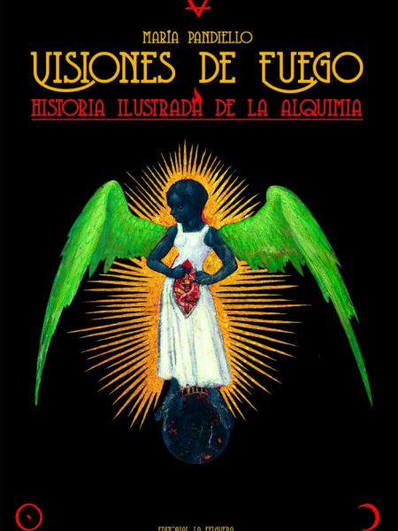 Visiones de Fuego-Pandiello Maria