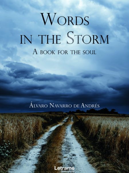 Words In The Storm-Navarro de Andrés Álvaro