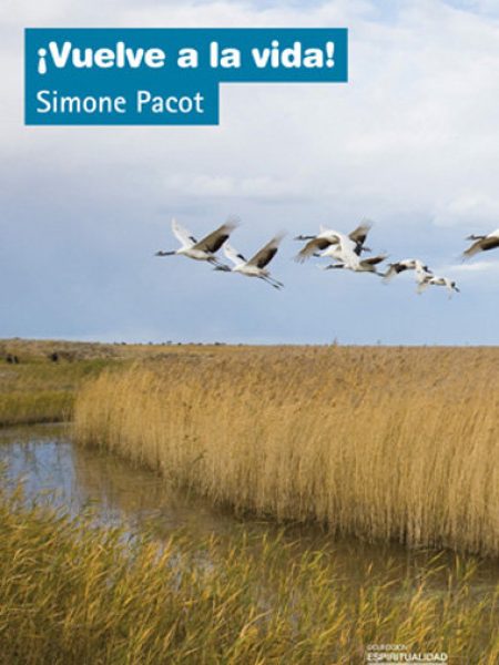 ¡vuelve a la Vida!-Pacot Simone